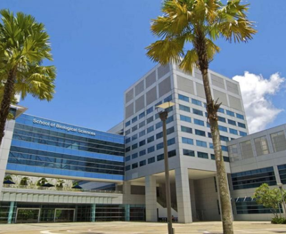 nanyang